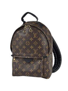 Louis Vuitton Palm Springs Backpack PM Monogram Brown